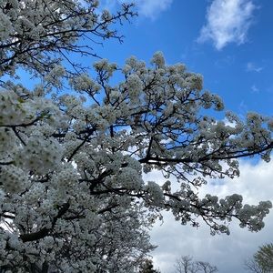 Meet your Posher, Yaroslava